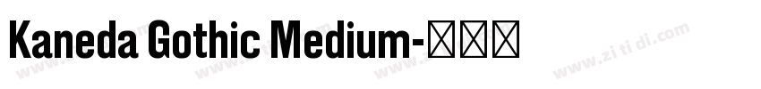 Kaneda Gothic Medium字体转换 Kaneda Gothic Medium字体转换